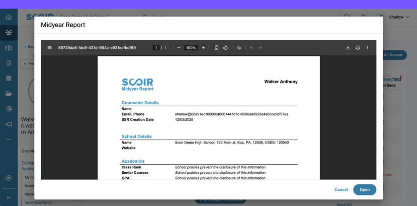 Midyear report preview