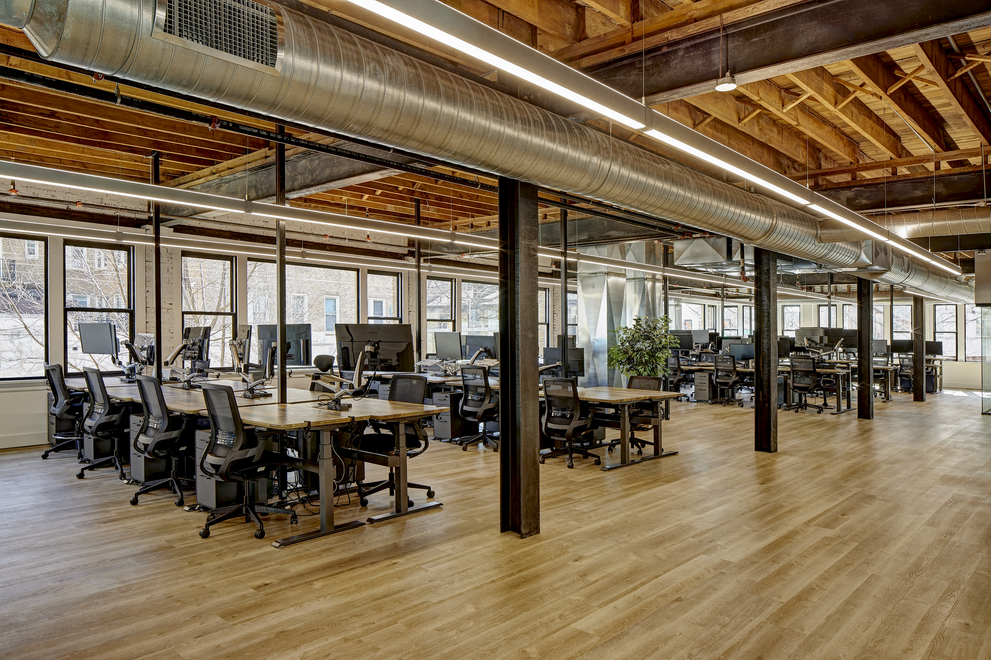 scoir-office-photo